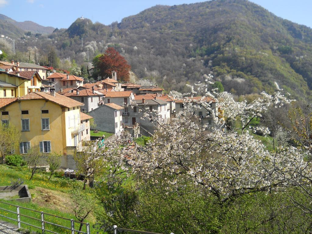 Casa Del Fra' Apartment Plesio Exterior photo